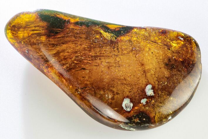 Polished Chiapas Amber ( g) - Mexico #193249